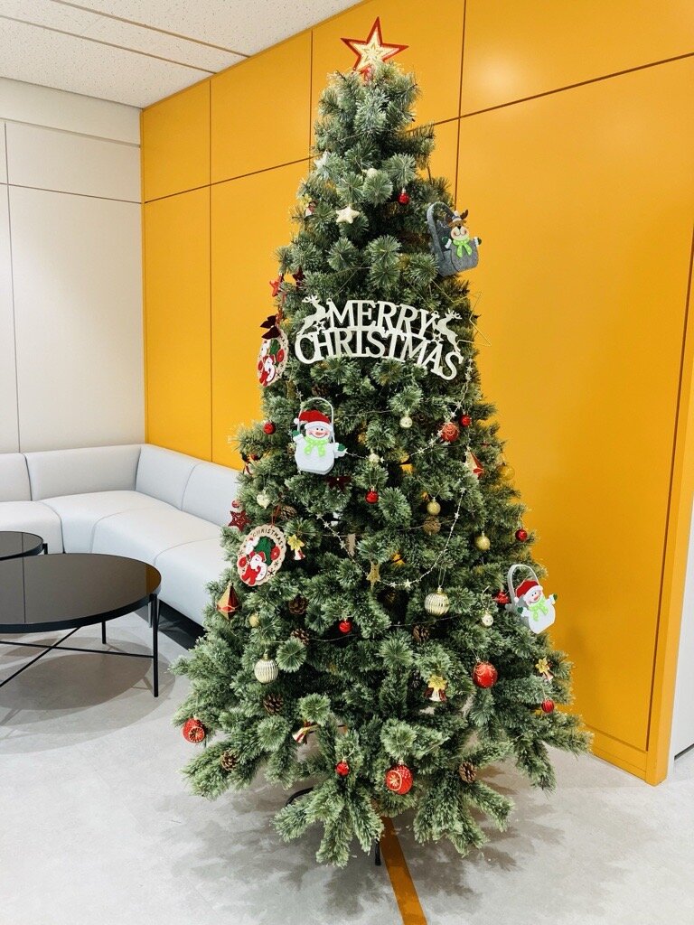 20241219_PHD_職場体験_クリスマスツリー_３.jpg