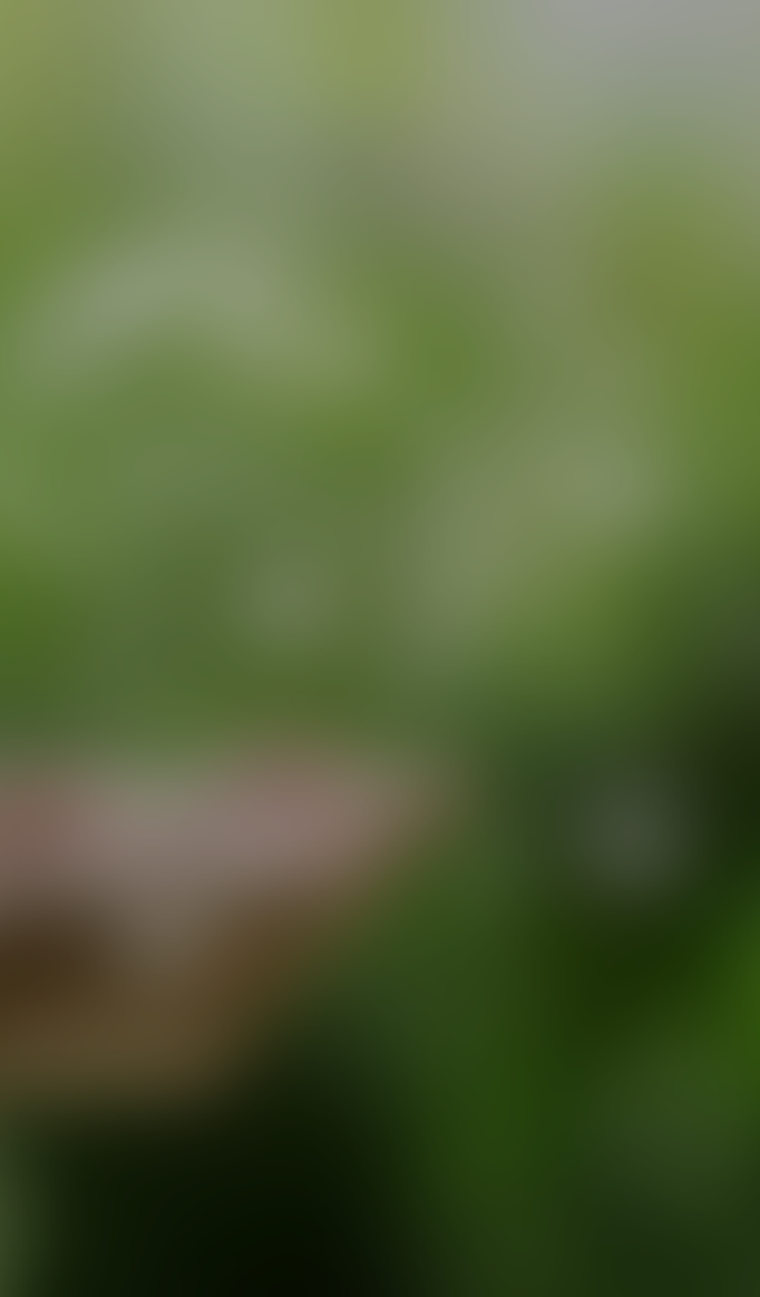 サステナビリティ